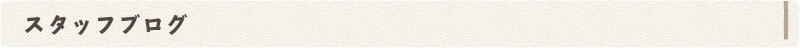 スタッフブログ