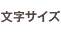 文字サイズ