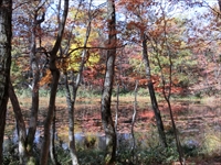 2015　矢の原湿原