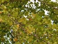 2015　旧喰丸小学校