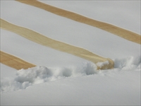 第33回　からむし織の里　雪まつり