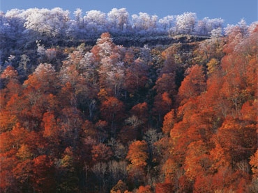 奥会津　昭和村　紅葉　イチョウ　小学校　喰丸　まつり　滝　スポット