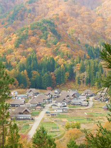 前沢曲家集落　秋の展望スポット