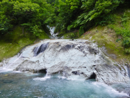 只見町　恵みの森