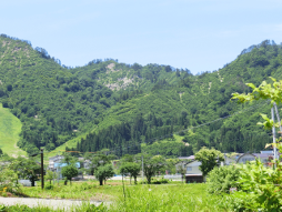 只見町　山里