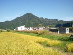 只見町　実りの秋　只見駅裏