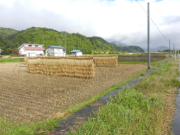 只見町　収穫後の田んぼ