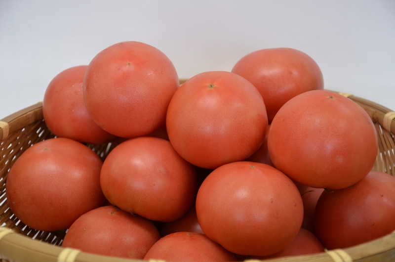 おいでよ！南会津。　南郷トマト